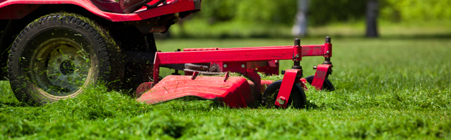 lawn cutting